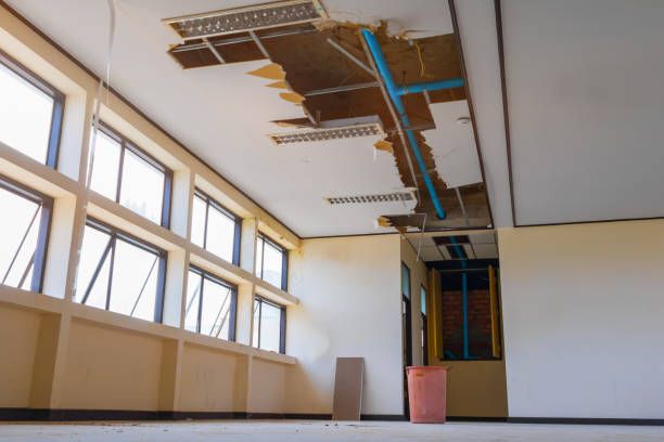 Best Basement water damage restoration  in Georgetown, TX