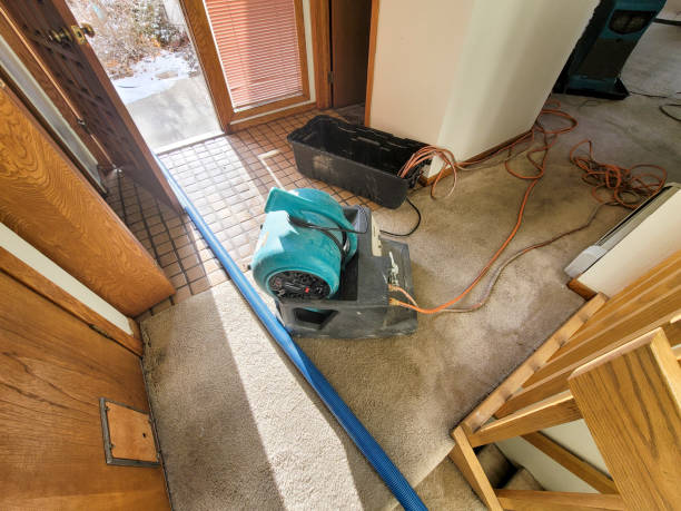 Best Sewage cleanup and water damage restoration  in Georgetown, TX