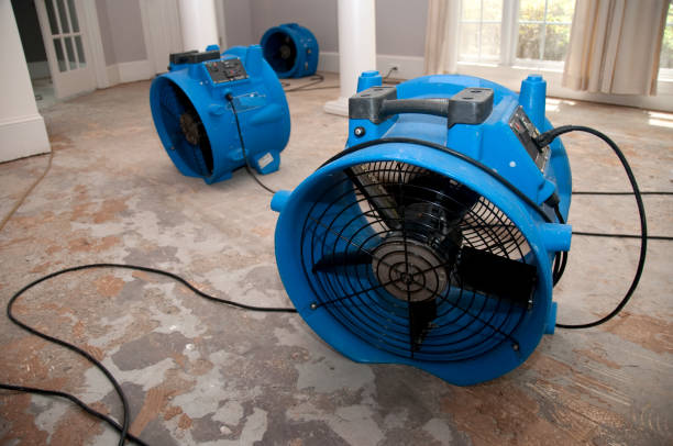 Best Water damage cleanup near me  in Georgetown, TX