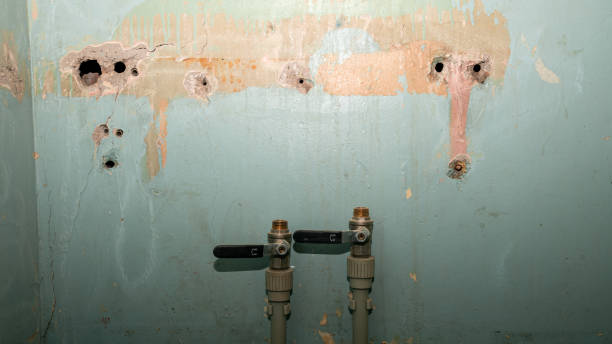 Best Water damage restoration near me  in Georgetown, TX