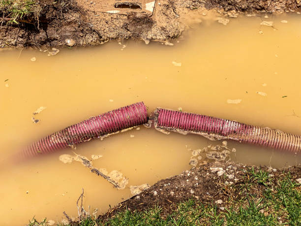 Best 24-hour water damage restoration  in Georgetown, TX